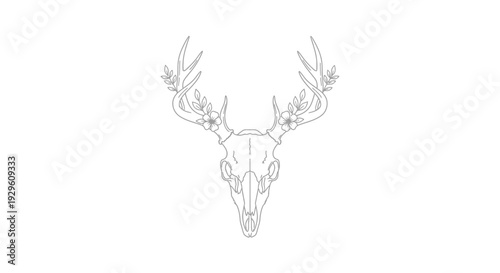 Detailed deer skull with antlers drawing.