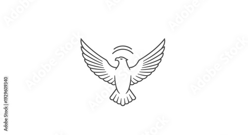 Dove with outstretched wings flying high.