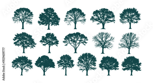High-Quality Diverse Green Tree Silhouette Vector Collection for Nature Design