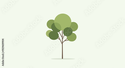 Green tree with rounded leaves standing.