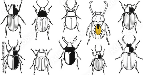 Collection of stylized insects with segmented bodies and legs, varying patterns
