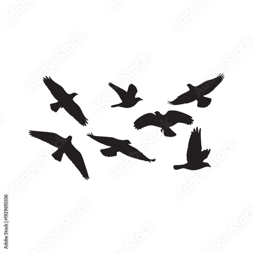 Black Birds flying with sky silhouette vector illustration