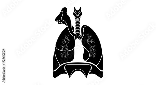 Human Lungs Anatomy Illustration Black White.