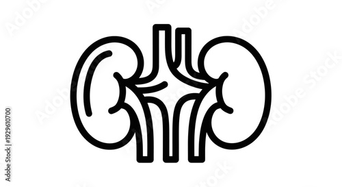 Human Kidneys Outline Icon Medical Health Organ System.