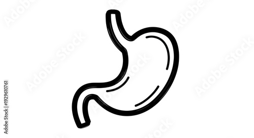Human Stomach Organ Outline Drawing.