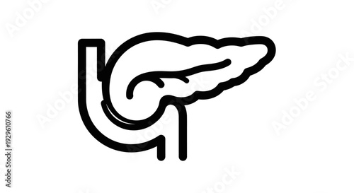 Pancreas and Duodenum Outline Icon for Medical and Health Concepts.