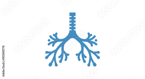 Human Lungs Anatomy Illustration Blue Color.