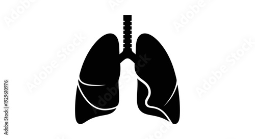 Human Lungs Anatomy Silhouette Illustration.