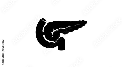 Human Pancreas Organ Silhouette Illustration.