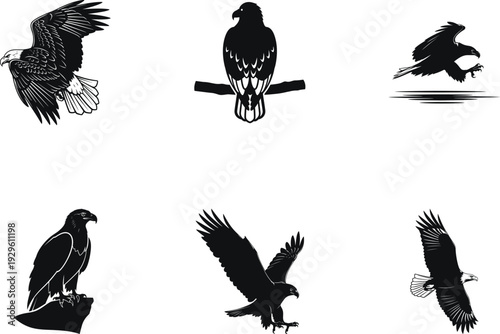 Collection of various eagle silhouettes