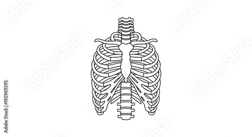 Human Respiratory System Diagram Illustration.