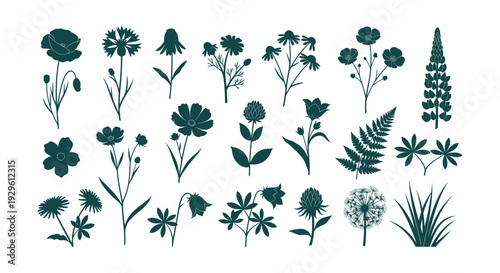 Diverse Wildflower Botanical Floral Silhouettes Collection Vector Illustration Nature Elements Set