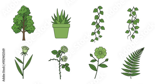 Set of green plants and leaves on white background.