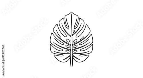 Monstera leaf illustration with holes.