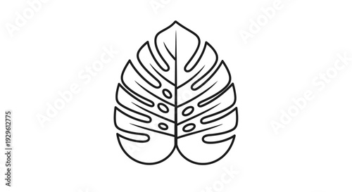 Monstera leaf outline drawing illustration.