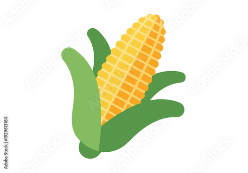 A vibrant illustration of a fresh ear of corn, showcasing its bright yellow kernels and green husks, perfect for food and agriculture themes