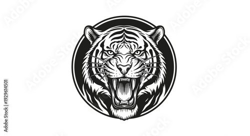 Tiger head with open mouth roaring.