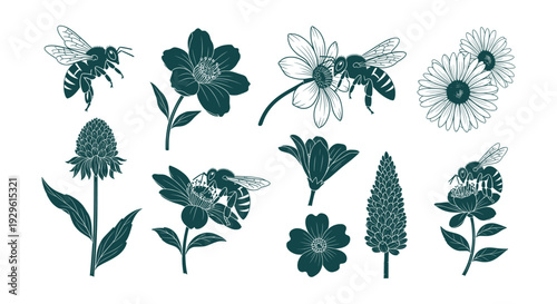 Detailed Vector Collection of Bees and Wildflowers Illustrating Nature's Pollination Process