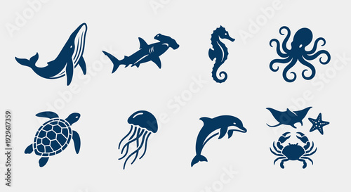 Sea animals and marine life silhouettes set including whale shark dolphin turtle octopus and jellyfish flat vector icons for ocean biology design