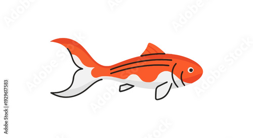 Vibrant orange fish with white fins.