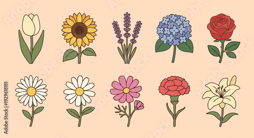 Beautiful Flower Collection with Various Species Including Rose Sunflower Tulip Lavender Hydrangea Lily and Daisy for Nature and Floral Design