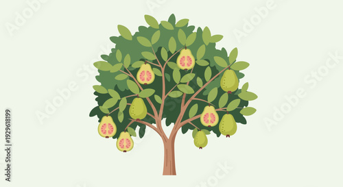 Fig Tree with Ripe Figs and Leaves.