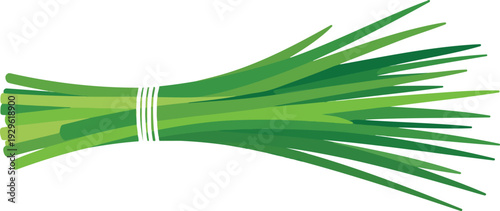 Fresh Green Chives Herb Bundle Vector Illustration Scalable EPS for Culinary and Design Projects