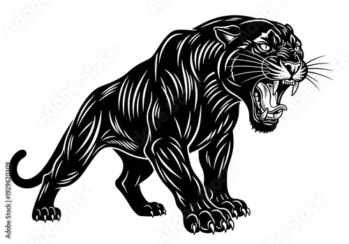 Foto Roaring Black Panther in Attack Pose Black and White Vector Illustration