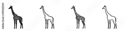 Sketch giraffe icon design set