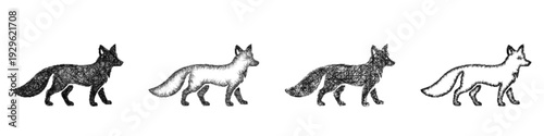 Sketch fox icon design set