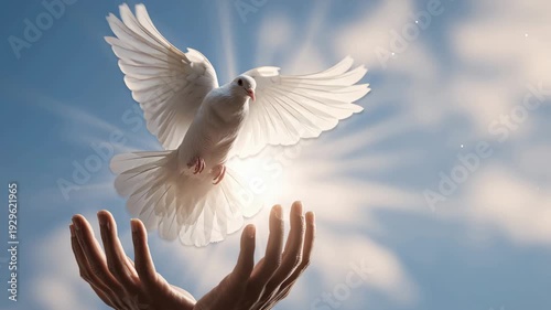 Hand Releasing Dove in Sky