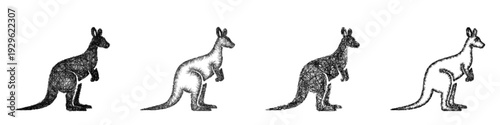 Sketch kangaroo icon design set