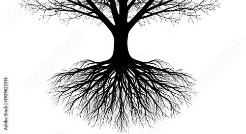 Tree Silhouette with Exposed Root System.
