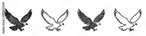Sketch eagle icon design set