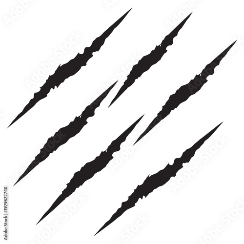 Black tiger claw marks
