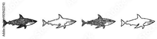 Sketch shark icon design set