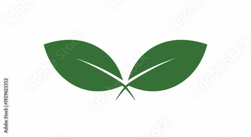 Green Leaves Illustration Nature Symbol.