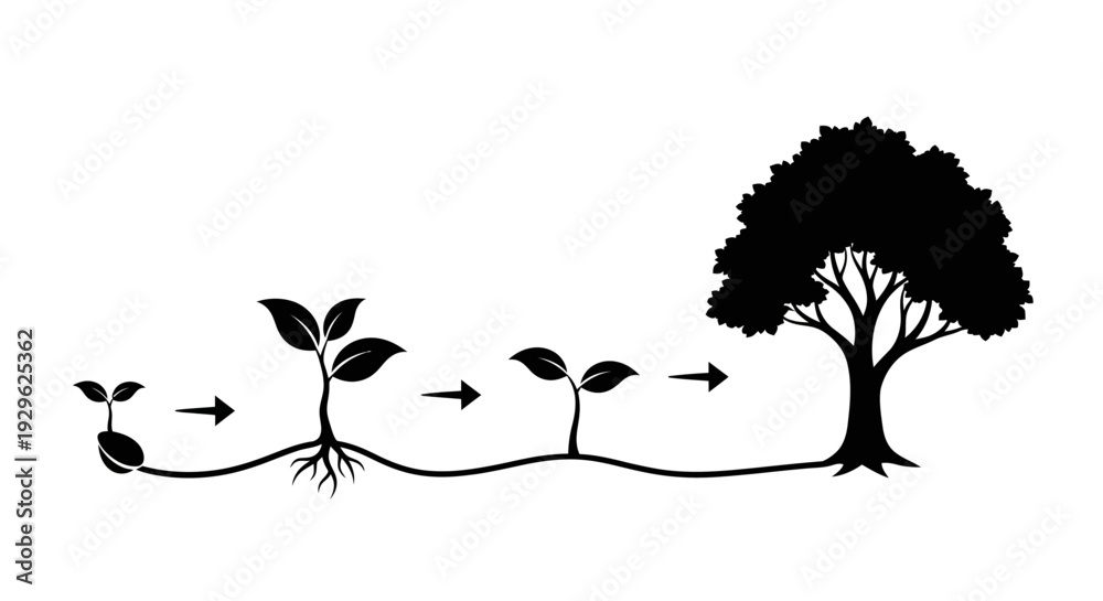 Fototapeta premium Seedling Growth Stages to Mature Tree Silhouette.