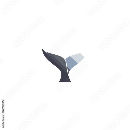 Great white shark emblem in a dark blue shield