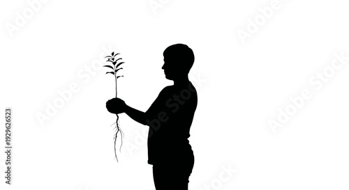Silhouette of Person Holding Plant Profile.