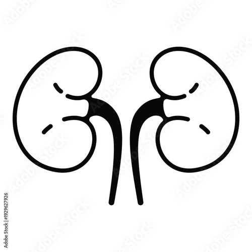 Human kidneys outline icon minimalist vector illustration for medical design.