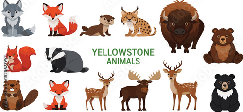 Yellowstone National Park Animals Cartoon Vector Set Featuring Bison Bear Wolf Fox Deer Moose and Wildlife Characters for Educational Design and Nature Projects