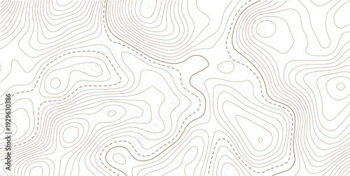 Abstract topo contour map on white background, Topographic map Topographic contour lines map seamless pattern.paper texture Imitation of a geographical map shades.