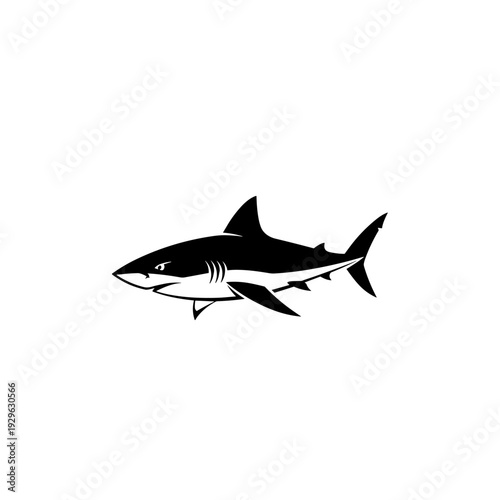 Minimalist black and white orca killer whale illustration emerging from a dark background