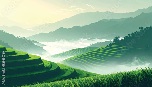 Elevated paddy formation with floating vapor layers. Highland farming scenery wrapped in soft haze. Agricultural contour design across tropical uplands