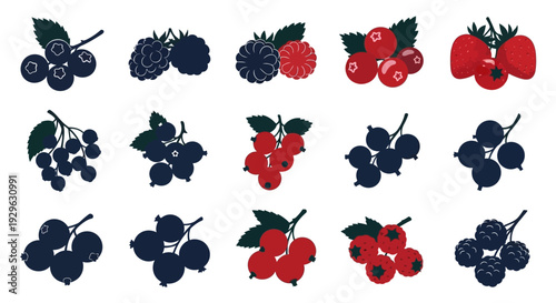 Set of 15 Fresh Berry Icons Vector