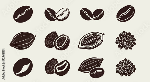 Set of 12 Coffee and Cacao Bean Vector Icons