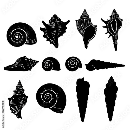 Set of 12 Black Silhouette Seashell Vector Icons