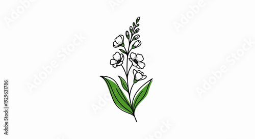 A delicate botanical illustration features a slender stem with multiple white blossoms and green leaves