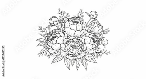 A monochrome sketch of a lush bouquet of peonies with buds and leaves
